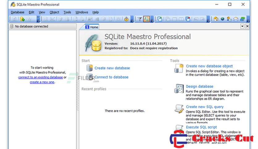 SQLite Maestro Professional Crack