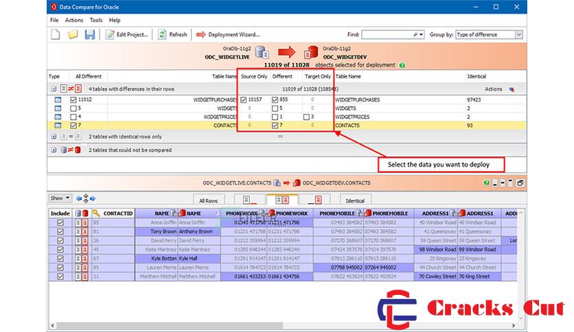 Red Gate Data Compare for Oracle Crack